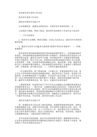 2025年培养指导青年教师工作总结