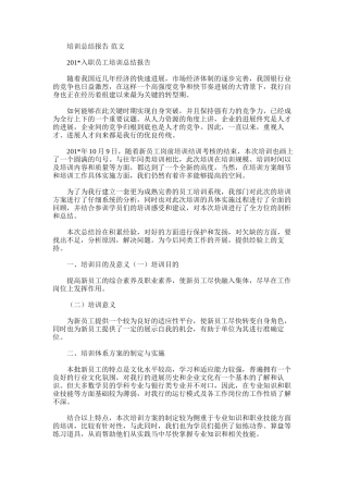 2025年培训总结报告范文