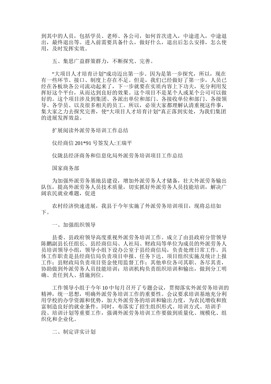 2025年外派工作总结_第3页