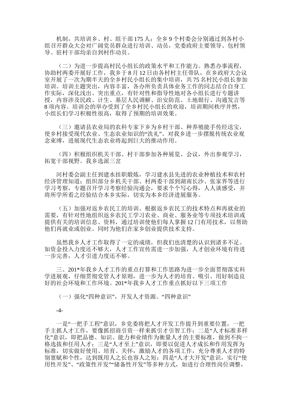 2025年大坪乡人才工作总结及工作计划_第2页