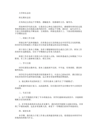 2025年大学班长总结范文