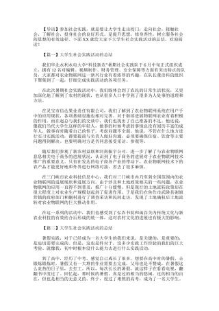 2025年大学生社会实践活动总结