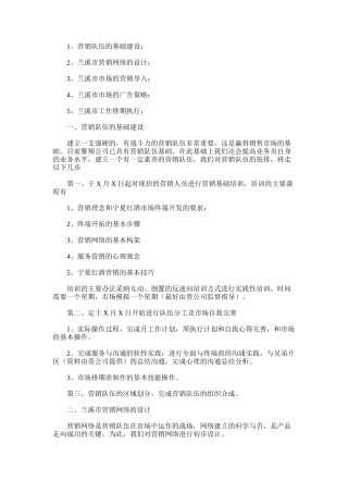 2025年宁夏红入市策划方案范文