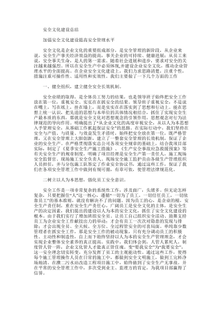 2025年安全文化建设总结范文word版