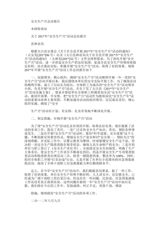 2025年安全生产月总结报告范文word版