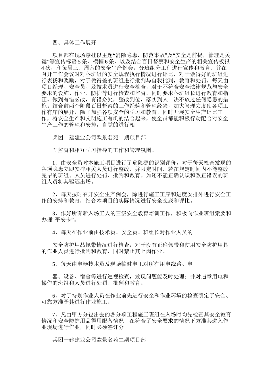 2025年安全生产百日督察专项行动工作总结_第2页