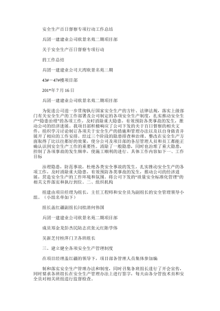 2025年安全生产百日督察专项行动工作总结