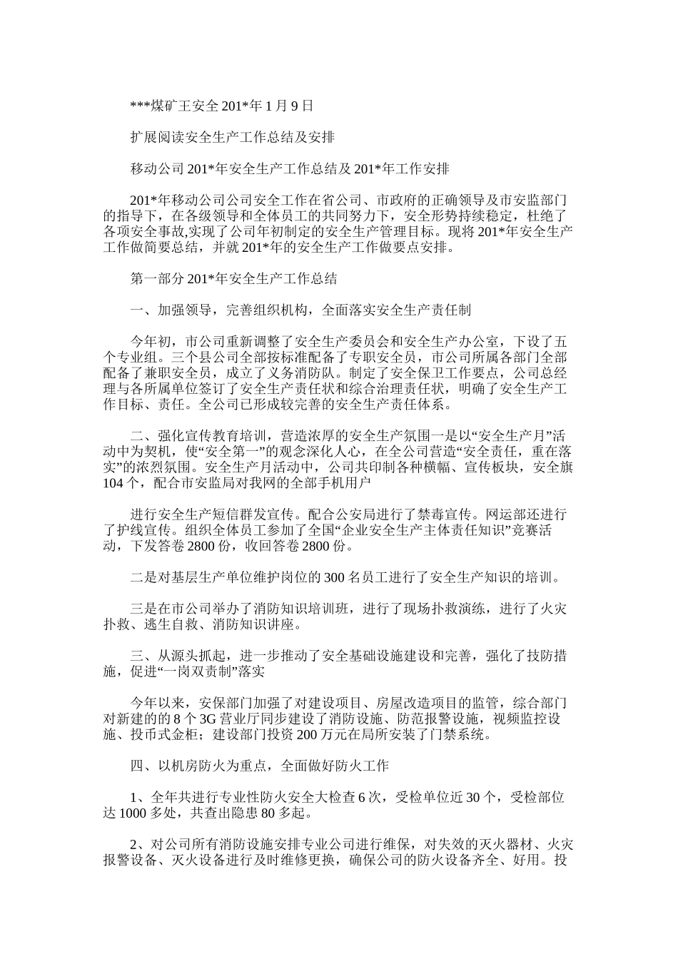 2025年安全矿长年度总结及计划_第3页