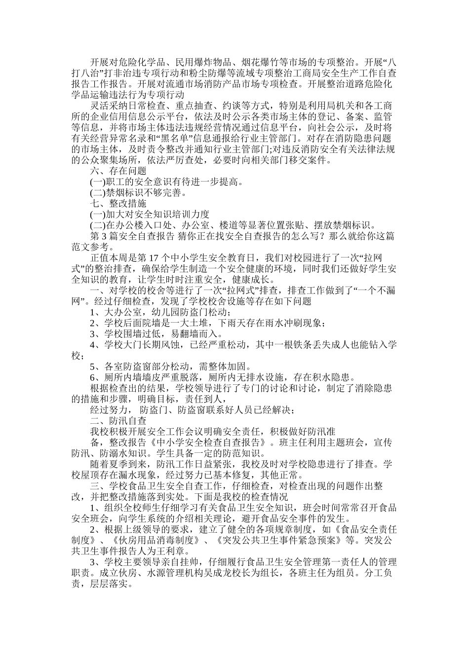 2025年安全自查报告-3_第3页