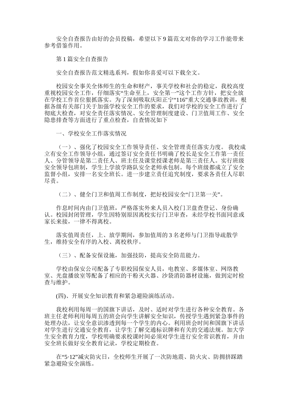 2025年安全自查报告_第1页