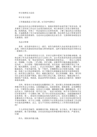 2025年审计助理实习总结