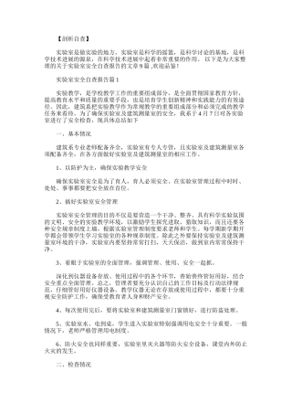 2025年实验室安全自查报告