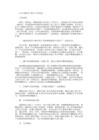 2025年小公司新员工转正工作总结