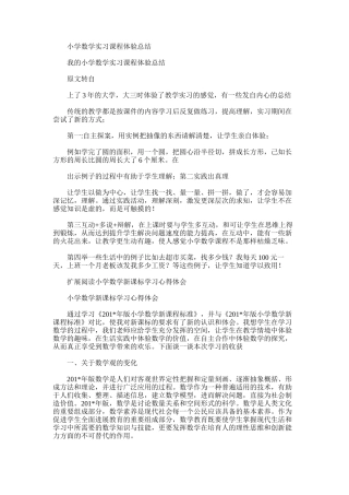 2025年小学数学实习课程体验总结
