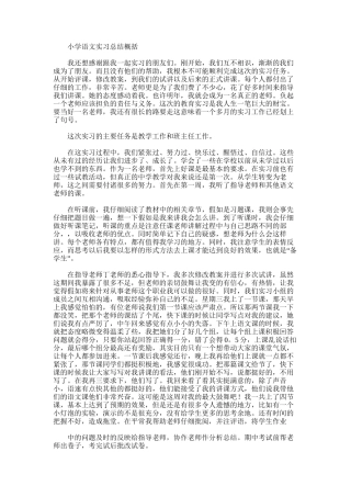2025年小学语文实习总结概括