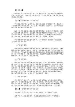 2025年小学财务管理工作自查报告3篇