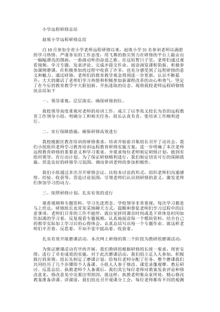2025年小学远程研修总结
