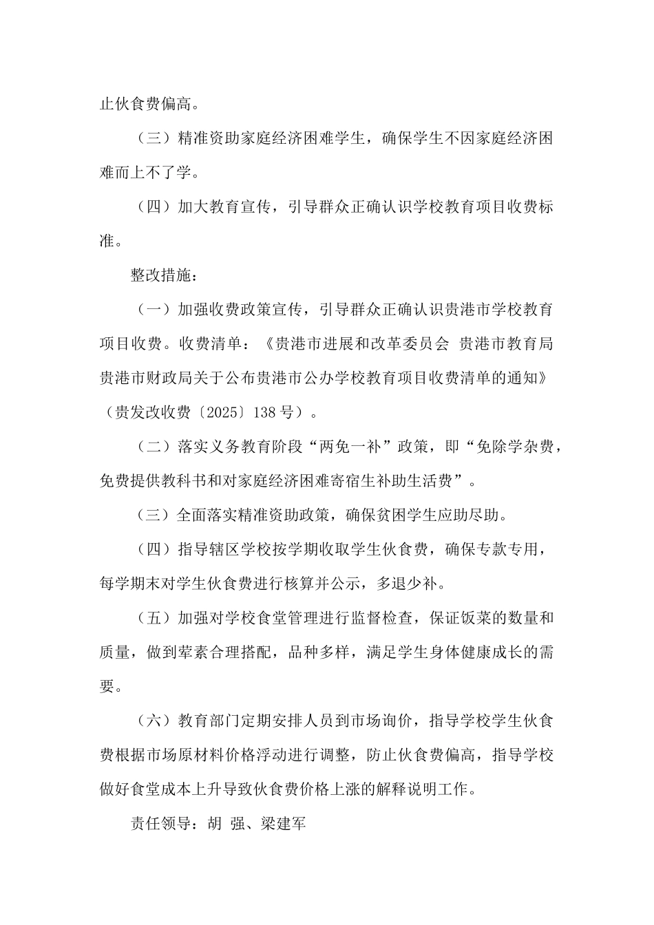 2025年度市委市政府社会评价意见建议问题整改策划方案_第2页
