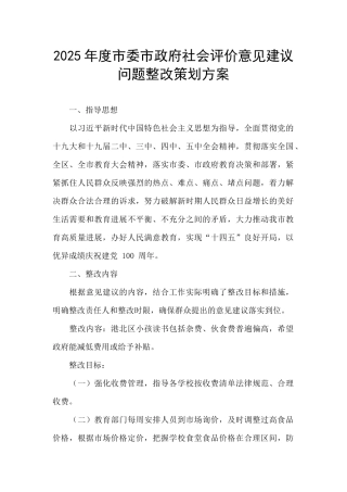 2025年度市委市政府社会评价意见建议问题整改策划方案