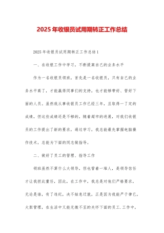 2025年收银员试用期转正工作总结