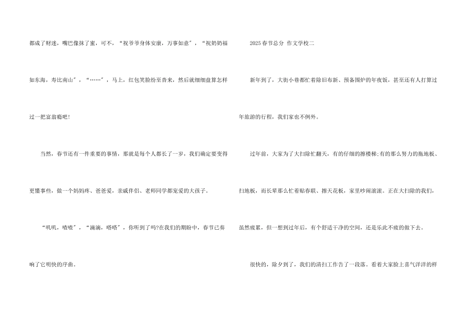 2025年春节满分初中_第3页