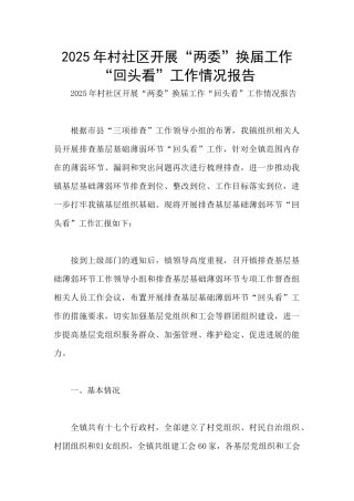 2025年村社区开展“两委”换届工作“回头看”工作情况报告