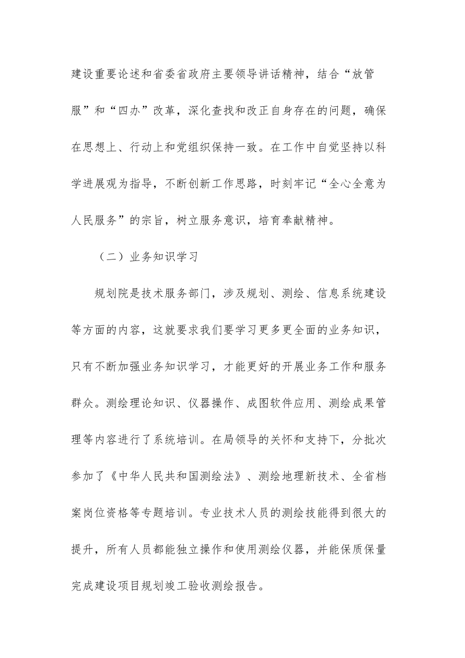 2025年规划院个人工作总结_第2页