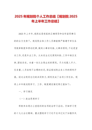 2025年规划院个人工作总结