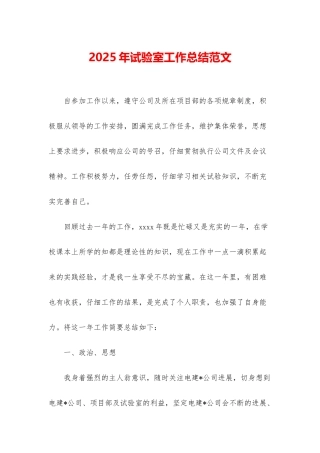 2025年试验室工作总结范文