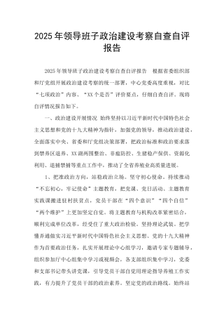 2025年领导班子政治建设考察自查自评报告