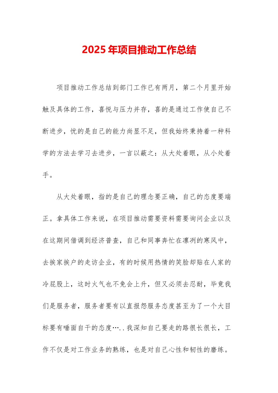 2025年项目推进工作总结_第1页