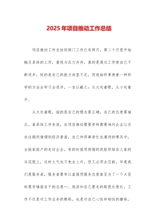 2025年项目推进工作总结