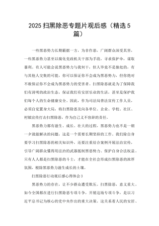 2025扫黑除恶专题片观后感
