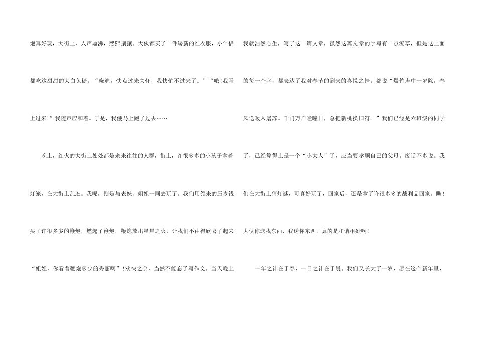 2025春节初中满分600字5篇_第3页