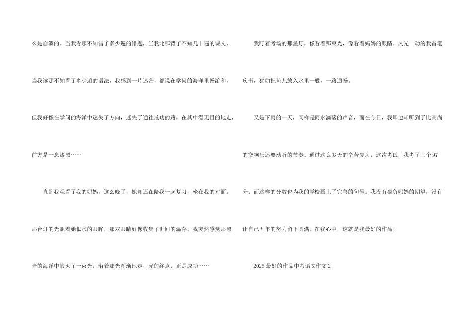 2025最好的作品中考语文_第2页