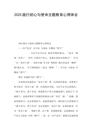 2025践行初心与使命主题教育心得体会