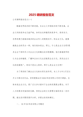 2025调研报告范文