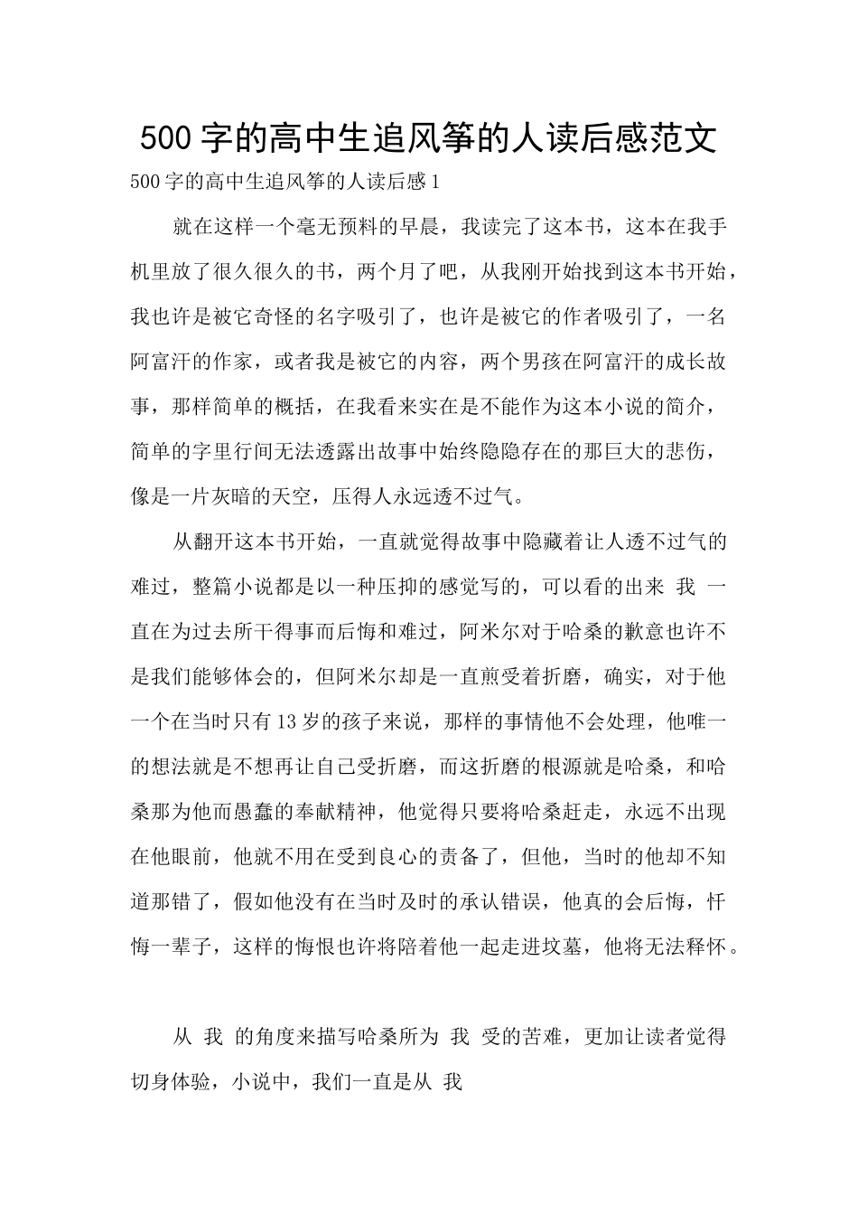 500字的高中生追风筝的人读后感范文_第1页