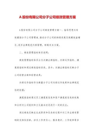 A股份有限公司分子公司绩效管理方案