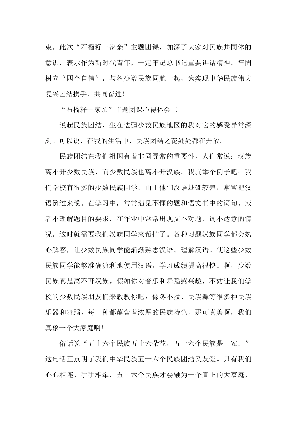 “石榴籽一家亲”主题团课心得体会5篇_第2页