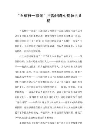 “石榴籽一家亲”主题团课心得体会5篇