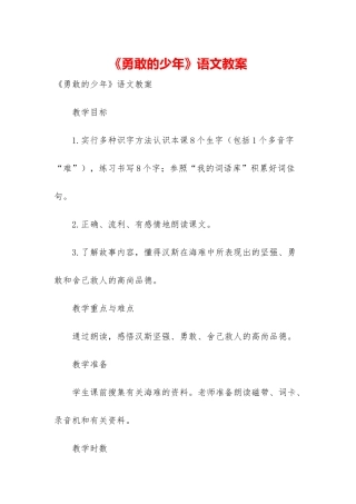 《勇敢的少年》语文教案