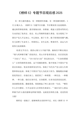 《榜样5》专题节目观后感2025