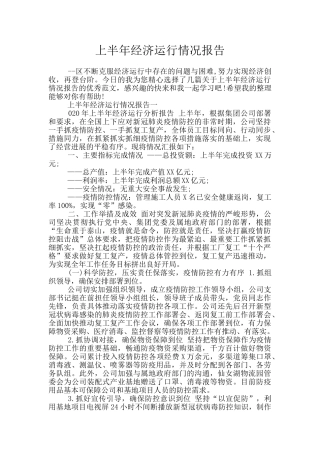 上半年经济运行情况报告