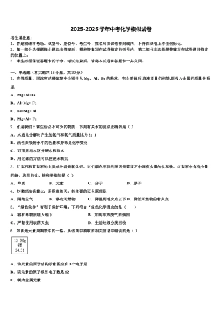 上海杨浦区重点名校中考化学考前最后一卷含解析
