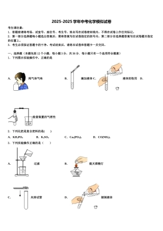 上海杨浦区重点名校中考化学适应性模拟试题含解析