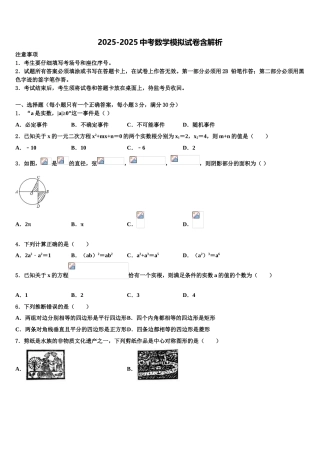 上海杨浦区重点名校中考数学最后冲刺浓缩精华卷含解析