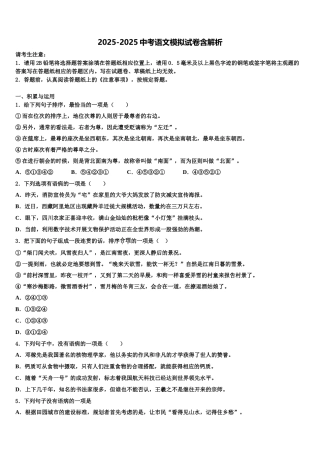 东莞市重点中学中考适应性考试语文试题含解析