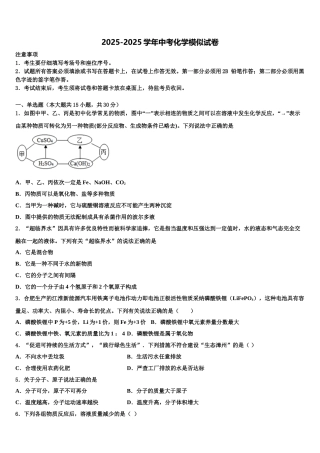 东莞市重点中学中考化学最后冲刺浓缩精华卷含解析