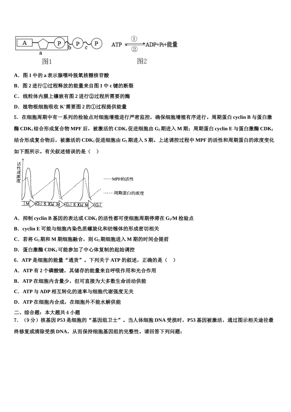 东莞高级中学高三适应性调研考试生物试题含解析_第2页